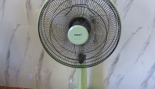 Fan One Bed