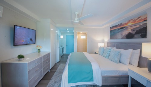 Studio, 1 King Bed