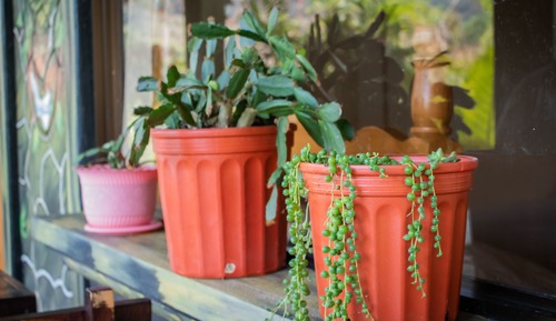 Double Room, Non Smoking, Garden View