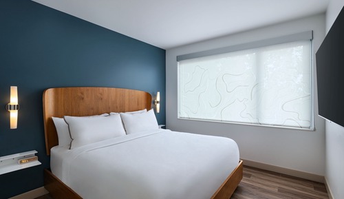 Suite, 1 King Bed with Sofa bed, Non Smoking (Mobility Accessible, Roll-in Shower)