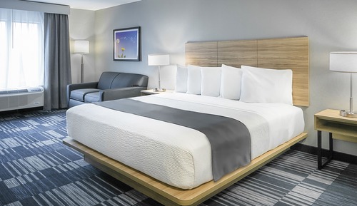 Suite, 1 King Bed with Sofa bed