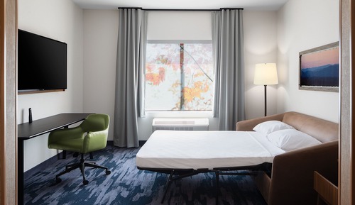 Suite, 1 King Bed with Sofa bed