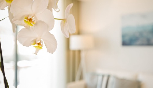 Deluxe Suite, 2 Bedrooms, Jetted Tub, Pool View