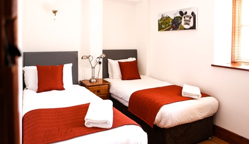Family Double or Twin Room