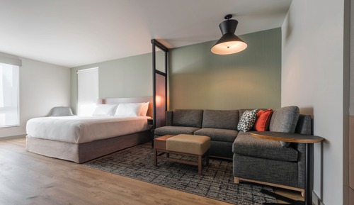 Room, 1 King Bed with Sofa bed
