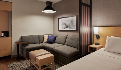 Room, 1 King Bed with Sofa bed, Accessible (Roll-In Shower)