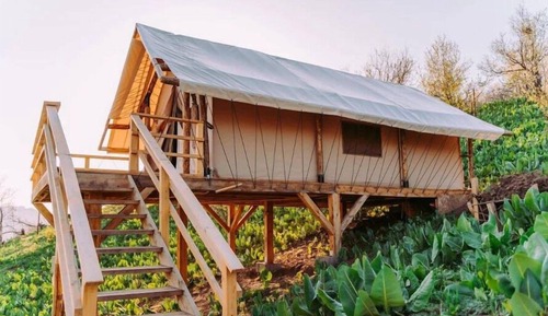 Cabin