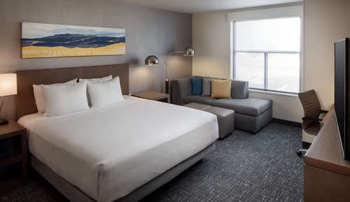 Room, 1 King Bed