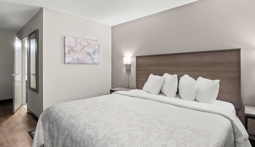 Premium Room, 1 King Bed, Accessible (Upgraded Bedding & Snack, Smoke Free)