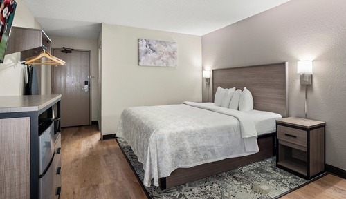 Premium Room, 1 King Bed (Upgraded Bedding & Snack, Smoke Free)