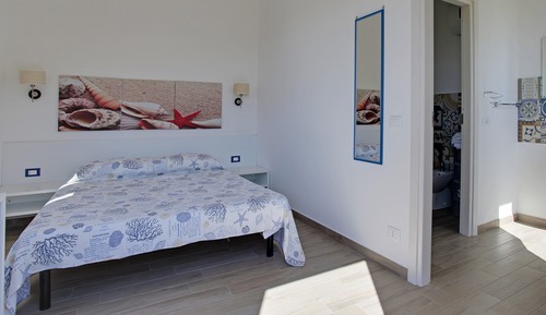 Basic Double Room