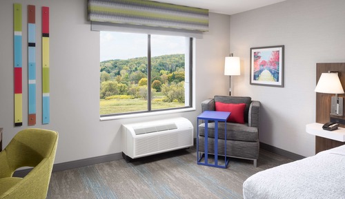 Room, 1 King Bed, Accessible (Mobility, Hearing, Roll-In Shower)