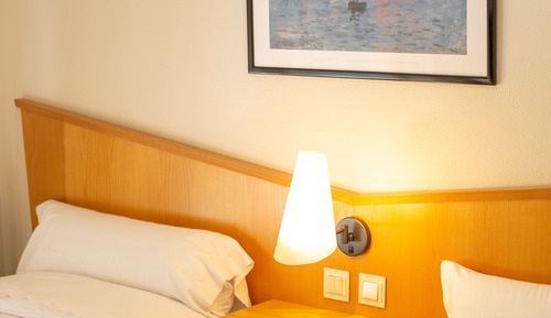 Basic Twin Room