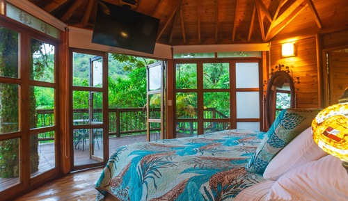 Luxury Studio Suite, 1 King Bed, Hot Tub, Garden View