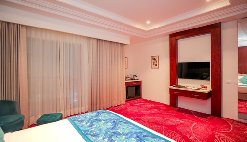 Traditional Studio Suite