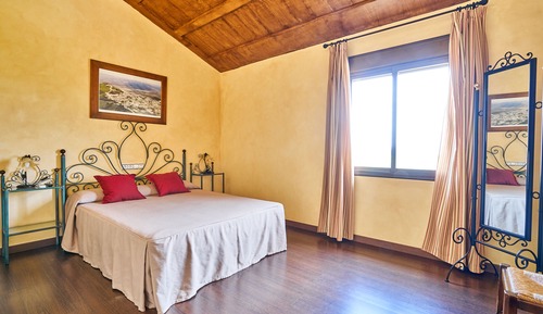 Comfort Room, 1 Queen Bed