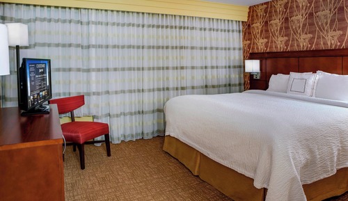 Room, 1 King Bed with Sofa bed, Non Smoking