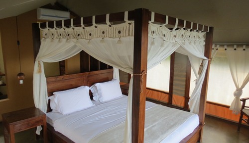 Standard Double Room, 1 King Bed