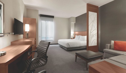 Room, 1 King Bed with Sofa bed, Accessible