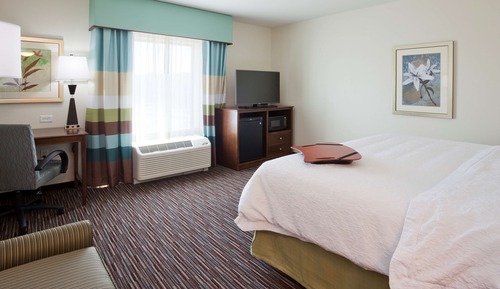 Room, 1 King Bed, Accessible, Non Smoking