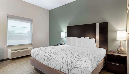 Standard Room, 1 King Bed, Non Smoking, Refrigerator & Microwave