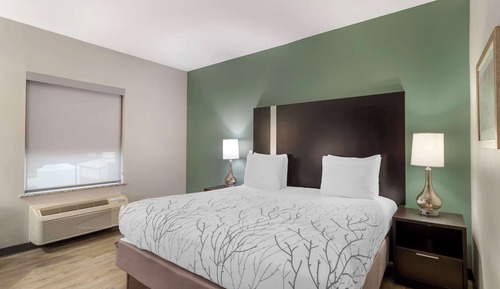 Standard Room, 1 King Bed, Non Smoking, Refrigerator & Microwave