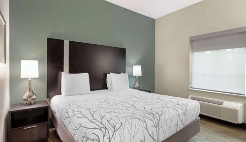 Standard Room, 1 King Bed, Accessible, Non Smoking