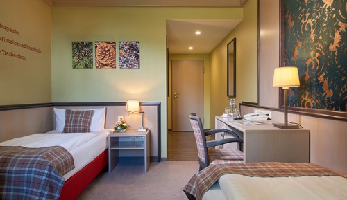 Basic Twin Room