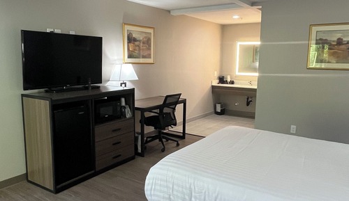 Deluxe Room, 1 Queen Bed, Non Smoking, Refrigerator & Microwave