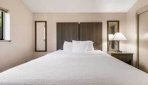 Deluxe Studio, 1 Queen Bed, Non Smoking, Refrigerator & Microwave