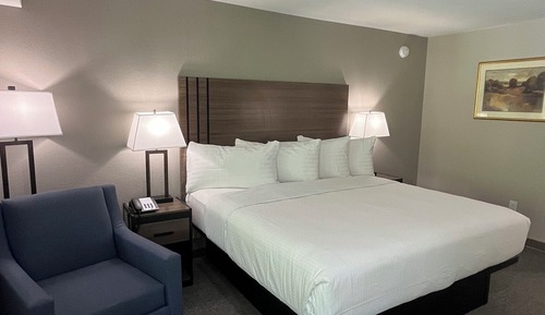 Deluxe Room, 1 King Bed, Non Smoking, Refrigerator & Microwave