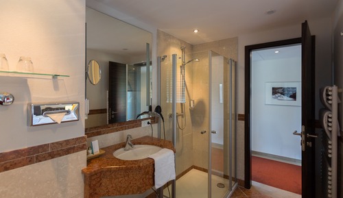 Junior Suite (for single use)
