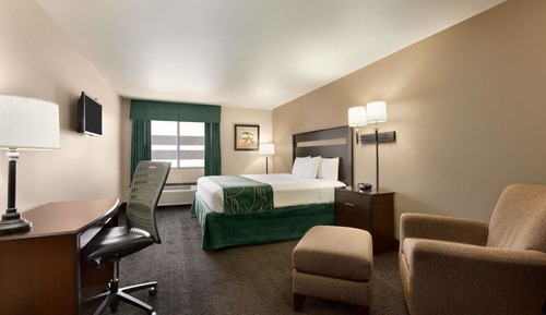 Room, 1 King Bed, Non Smoking