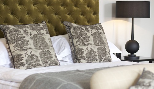 Suite, 1 King Bed