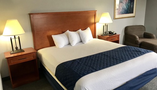 Economy Studio Suite, 1 King Bed