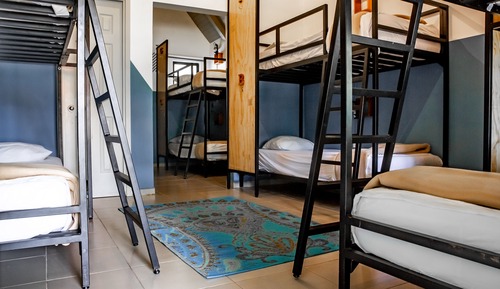 Bed in 6-Bed Dormitory Room
