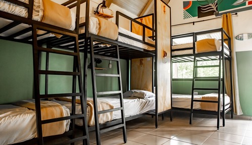 Bed in 8-Bed Dormitory Room