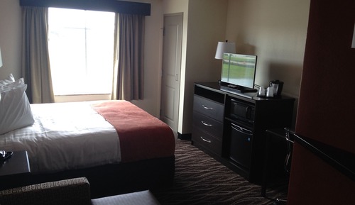 Room, 1 King Bed, Non Smoking