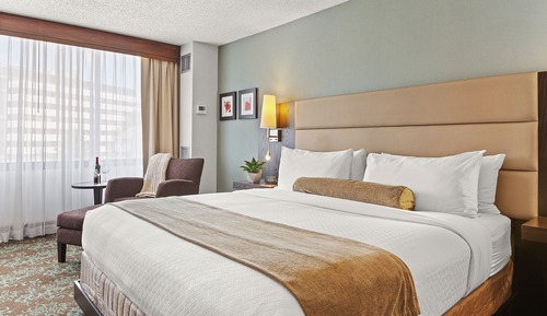 Executive Room, 1 King Bed
