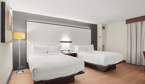 Executive Room, 2 Double Beds