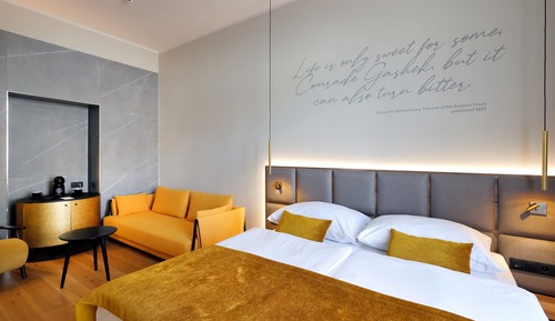 Deluxe Double or Twin Room