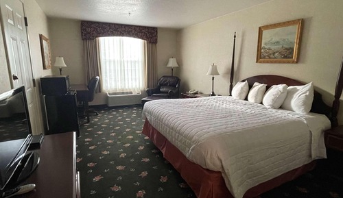 Standard Room, 1 King Bed, Non Smoking, Refrigerator & Microwave