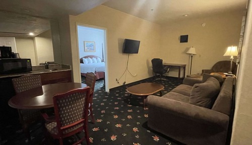 Suite, 1 King Bed, Non Smoking, Kitchenette (with Sofabed)