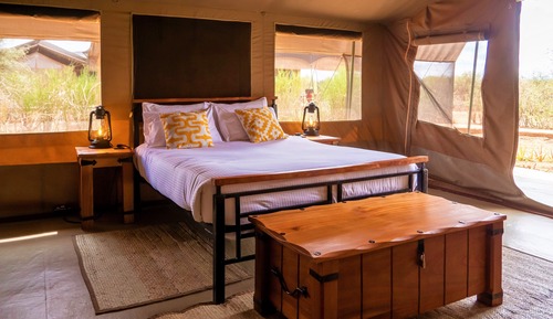 Standard Tent