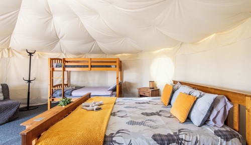 Superior Tent, Multiple Beds, Pets Allowed, Garden View