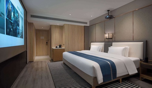 Room, 1 King Bed, Non Smoking (Cinema)
