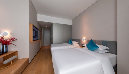 Deluxe Twin Room, Multiple Beds