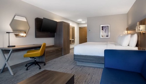 Suite, 1 King Bed with Sofa bed