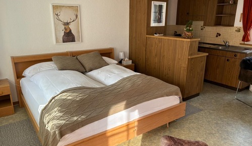 Superior Studio Suite, 1 King Bed, Kitchen, Garden Area