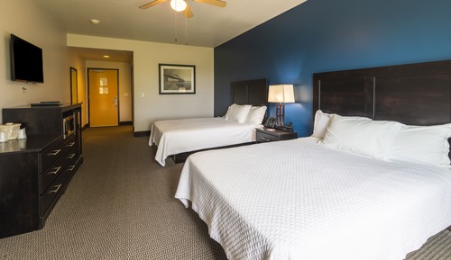 Basic Double Room